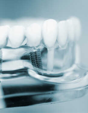 Dr Seong Hong in Glenside Pennsylvania